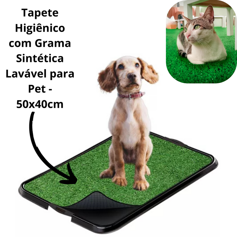 Tapete Higiênico com Grama Sintética Lavável para Pet - 50x40cm